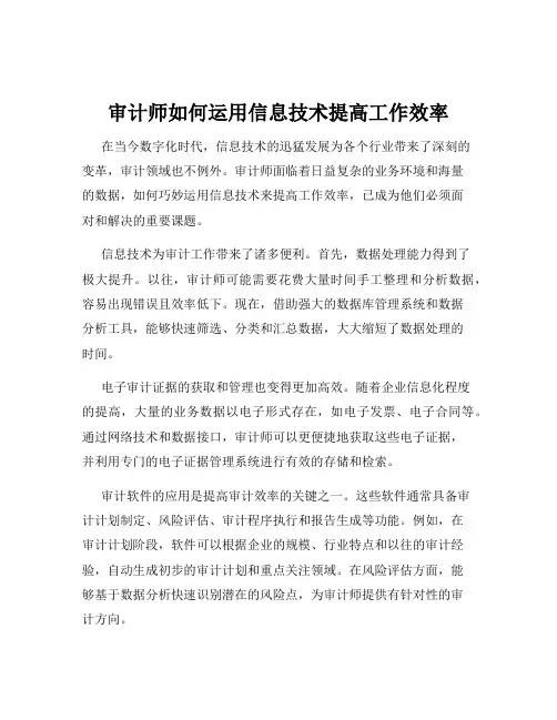 审计师如何运用信息技术提高工作效率