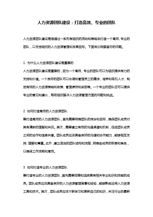 人力资源团队建设：打造高效、专业的团队