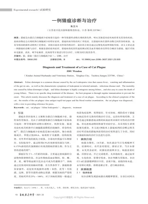 一例猫瘟诊断与治疗
