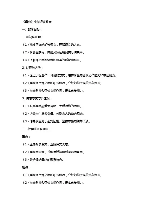 《母鸡》小学语文教案