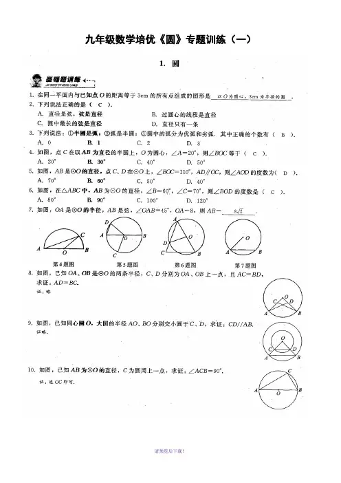 (师)九年级数学培优《圆》专题训练