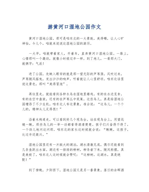 游黄河口湿地公园作文