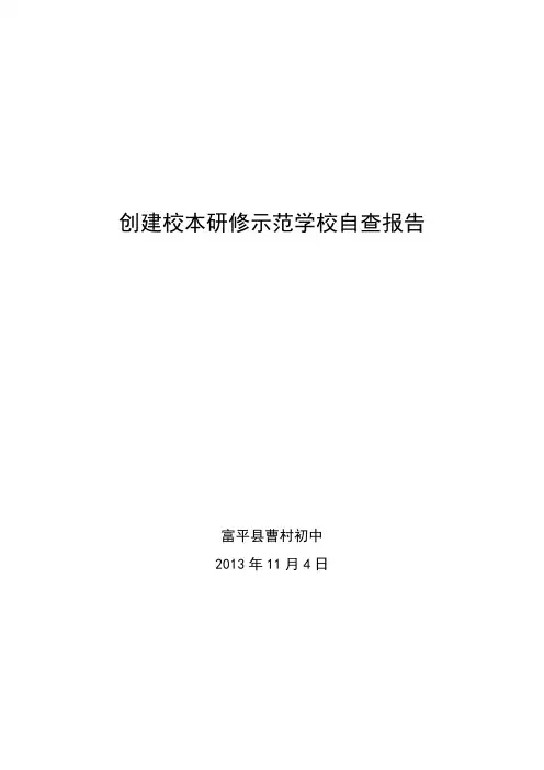 学校校本研修工作自查报告