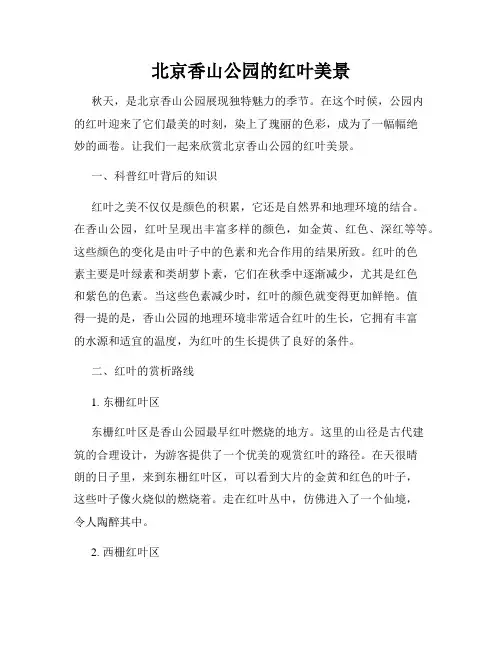 北京香山公园的红叶美景