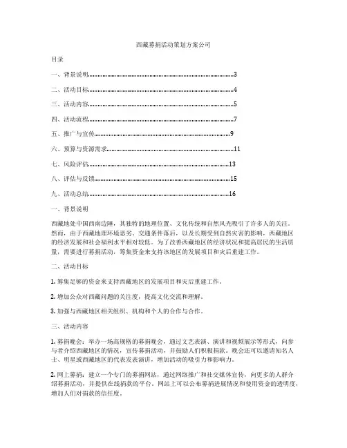西藏募捐活动策划方案公司