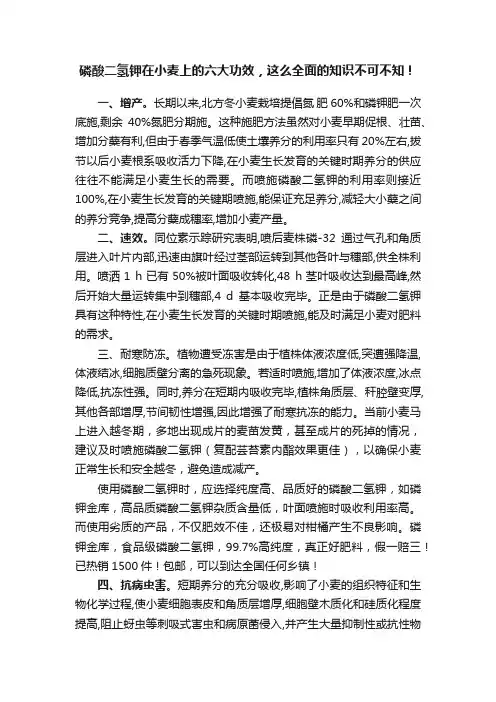 磷酸二氢钾在小麦上的六大功效，这么全面的知识不可不知！