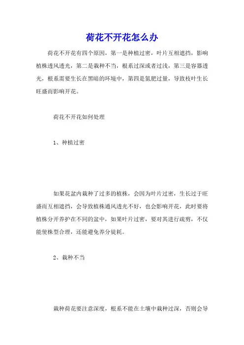 荷花不开花怎么办