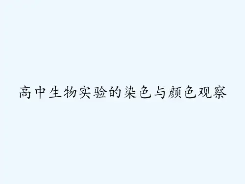 高中生物实验的染色与颜色观察 PPT