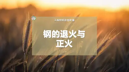 钢的退火与正火