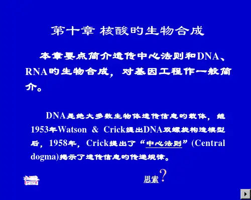 核酸的生物合成(ok)省名师优质课赛课获奖课件市赛课一等奖课件