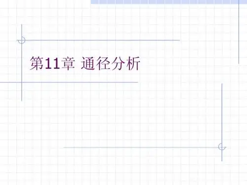 第13章 通径分析