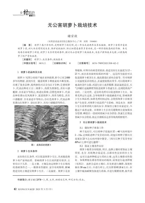 无公害胡萝卜栽培技术