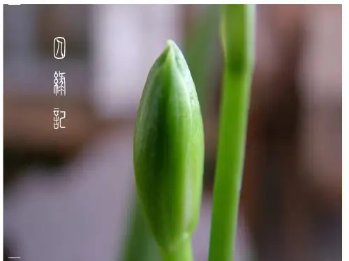 高中语文必修人教版《囚绿记》PPT教学课件