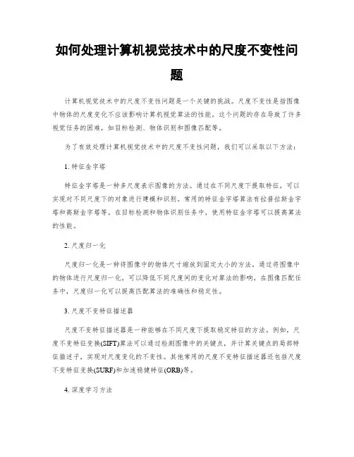 如何处理计算机视觉技术中的尺度不变性问题
