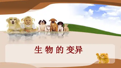 2生物的变异课件苏科版生物八年级下册