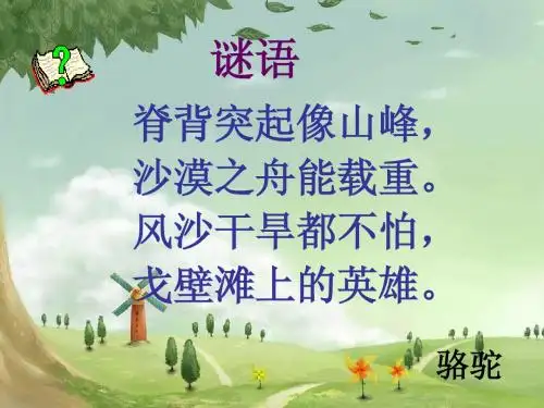 16、找骆驼