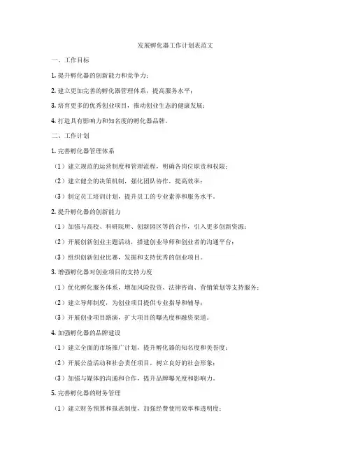 发展孵化器工作计划表范文
