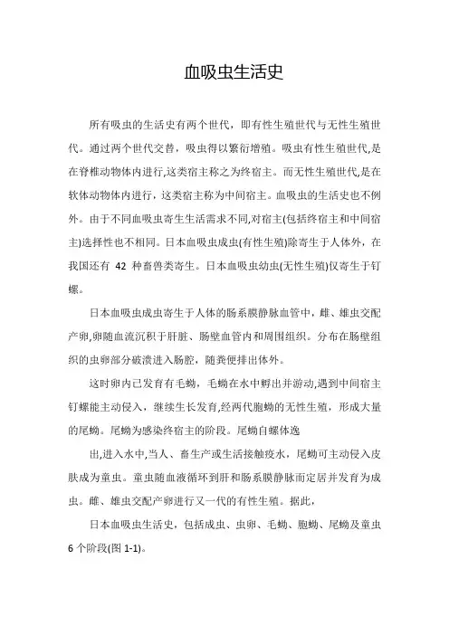 血吸虫生活史