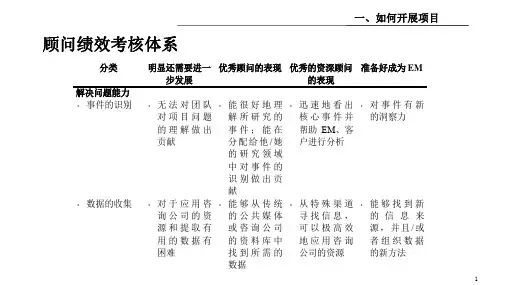 牛逼咨询顾问的技能树PPT课件