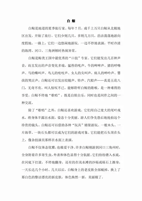 2.喜爱音乐的白鲸(类文)