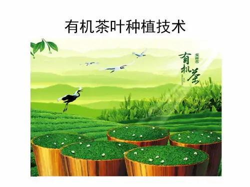 有机茶叶种植技术ppt课件