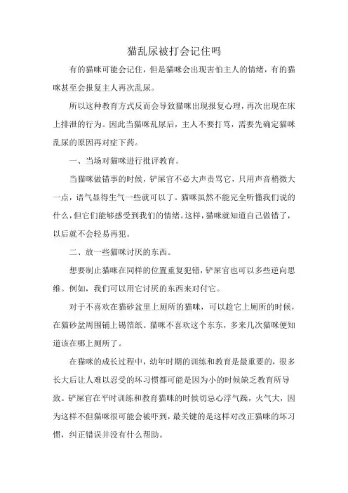 猫乱尿被打会记住吗