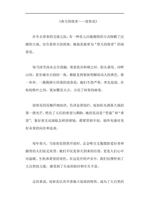 《春天的使者——迎春花》