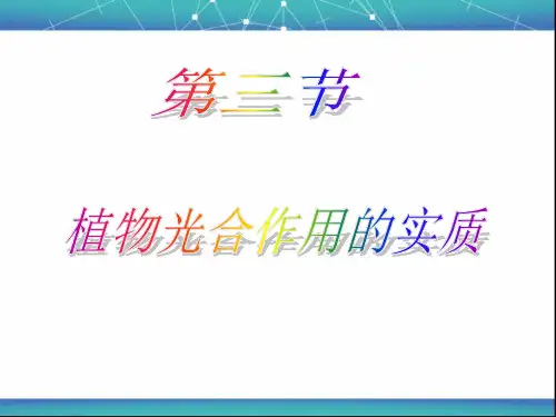 苏教版生物七年级上册3.6.3植物光合作用的实质 课件