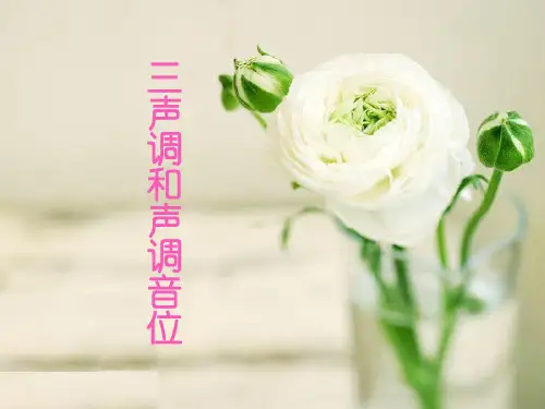 三、 声调和声调音位