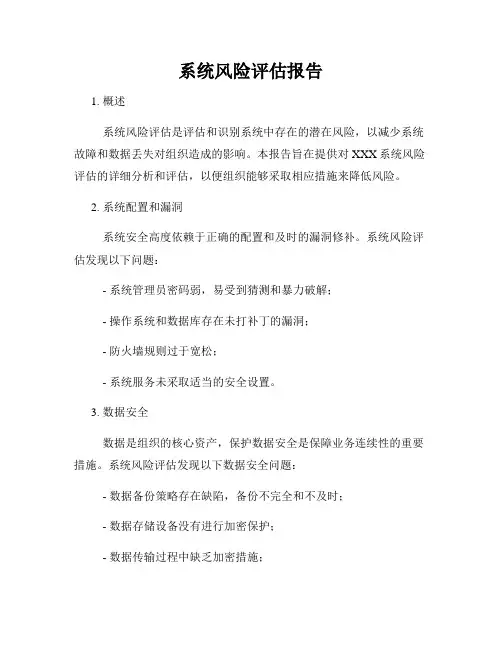 系统风险评估报告
