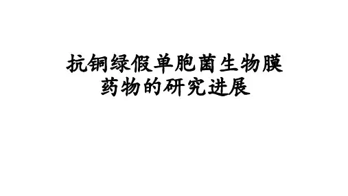 抗铜绿假单胞菌生物膜药物研究进展