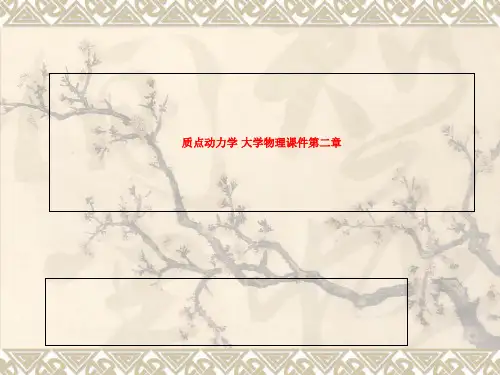 大学物理课件第二章 质点动力学