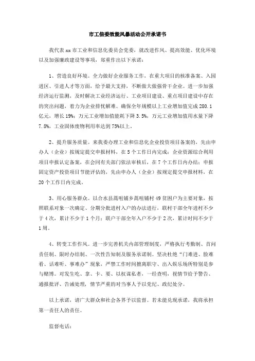 市工信委效能风暴活动公开承诺书