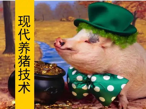 《现代养猪技术》PPT课件