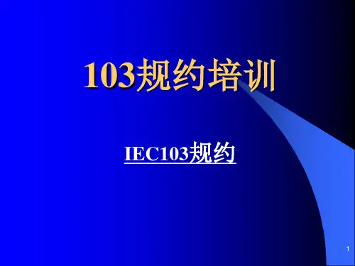 IEC103规约培训资料.pptx