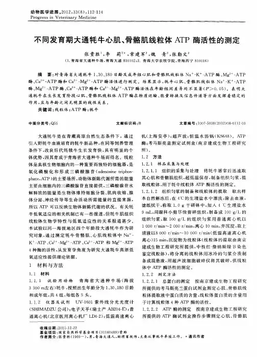 不同发育期大通牦牛心肌、骨骼肌线粒体ATP酶活性的测定