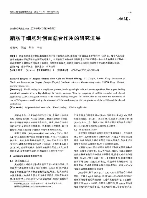 脂肪干细胞对创面愈合作用的研究进展