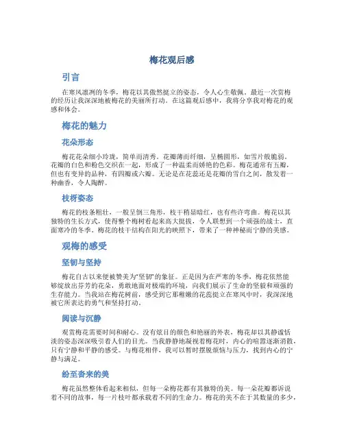 梅花观后感