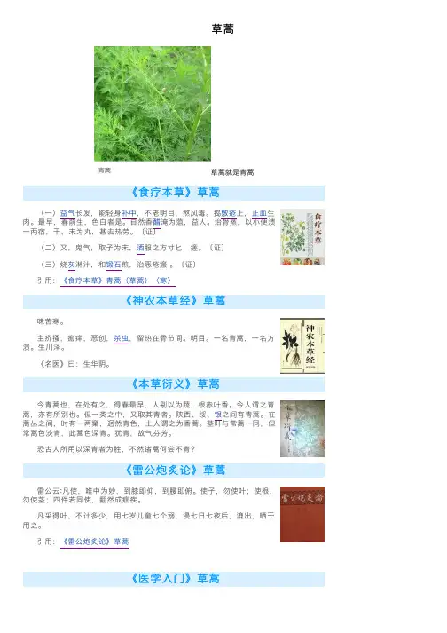 草蒿——精选推荐