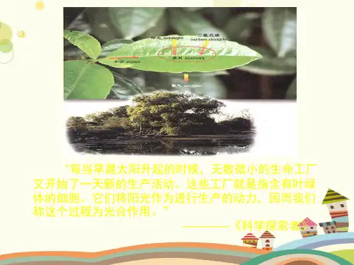 《光合作用》 全省一等奖-完整版课件