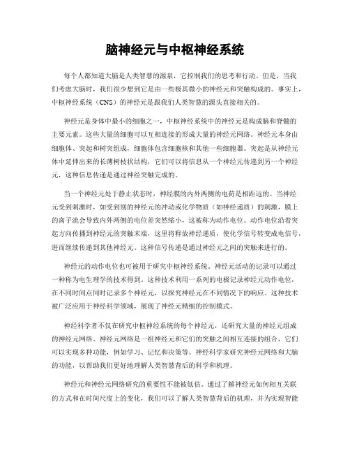 脑神经元与中枢神经系统