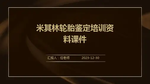 米其林轮胎鉴定培训资料课件