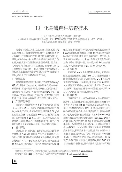 工厂化乌鳢苗种培育技术