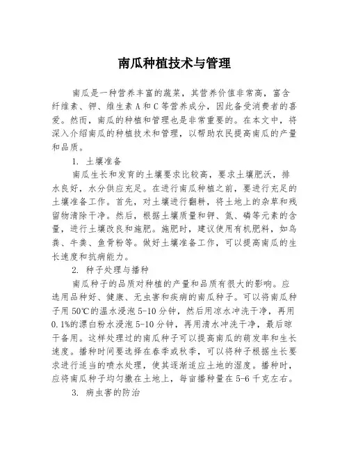 南瓜种植技术与管理