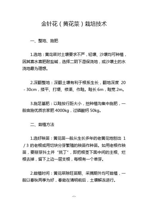 金针花(黄花菜)栽培技术
