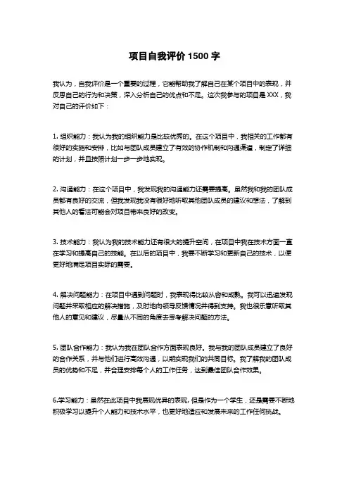 项目自我评价