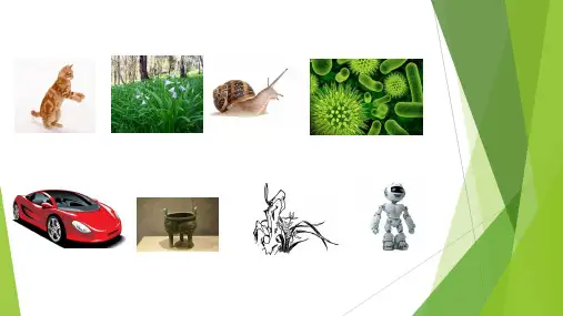 浙教版科学七年级上册 2.1《生物与非生物》(共21张PPT)