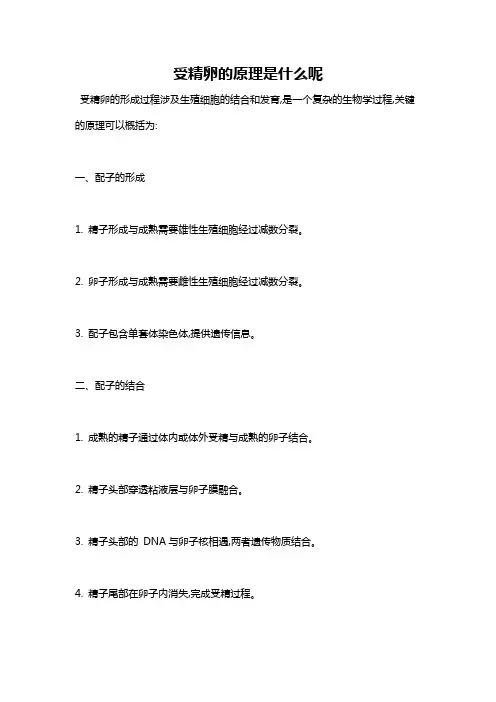 受精卵的原理是什么呢
