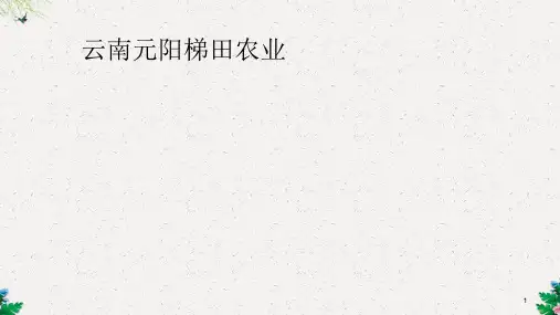 《农业的可持续发展-元阳梯田农业为例》教学课件(18张)