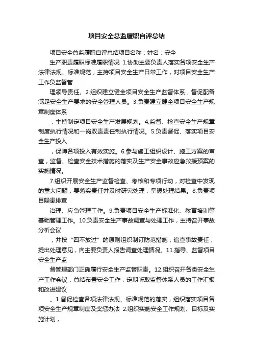 项目安全总监履职自评总结
